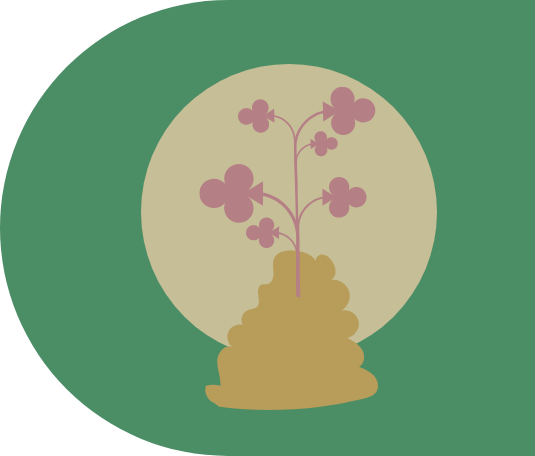 <strong>Po zabawie dalej jest zielono.</strong><br> Dzięki recyklingowi i kompostowalności.