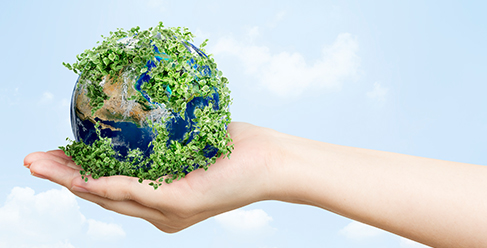 Zrównoważony rozwój 